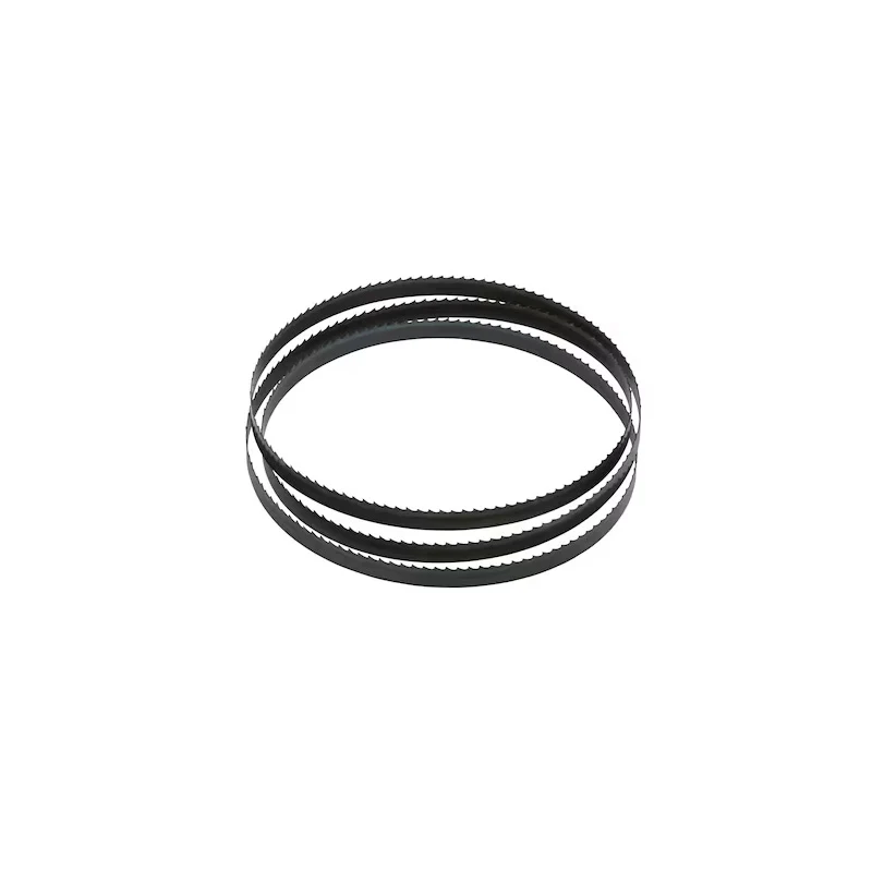 Lame pour scie à ruban DW738/DW739 2095mm DEWALT DT8481-QZ largeur 12mm