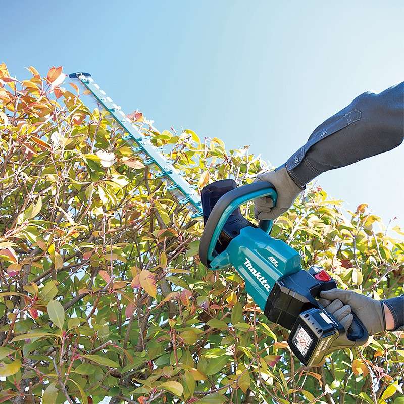 Taille-haie MAKITA DUH602SF 18V Li-Ion 60cm (1x3Ah) - Image 6